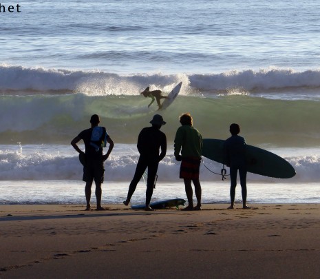 stage surf surfcamp,galice,espagne,nord