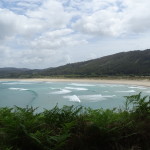 DSC01750